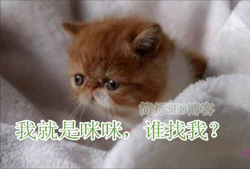 解析修改網(wǎng)站標(biāo)題的五個(gè)小秘密